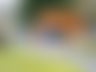 Shamrock’n the Harbor