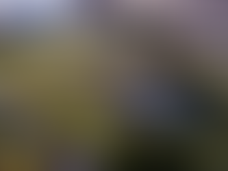 Live After 5 Finale in Coeur d’Alene