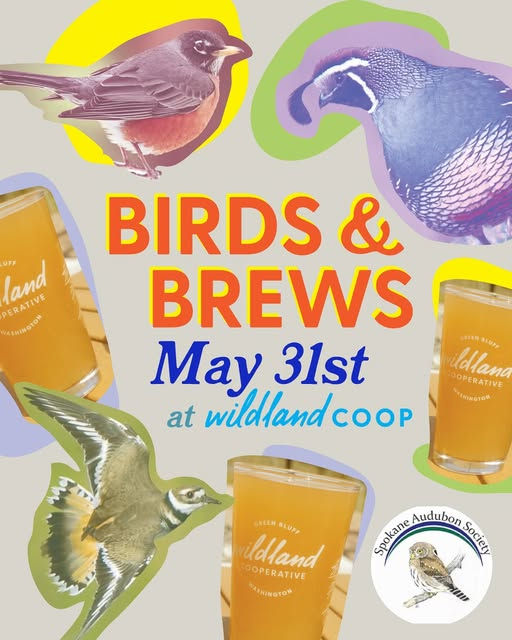 Birds and Brews