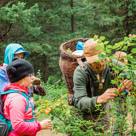 Spring is in the Air