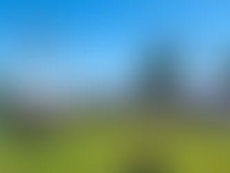 Local Makers Spring Market & Festival