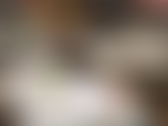 12th Year of A Night For the Museum