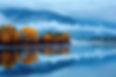 grizzly-glass-Glass-Repair-and-Replacement-bonners-ferry-idaho.jpg