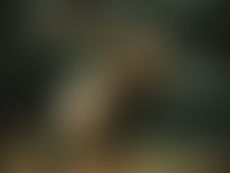 F4WM's 5th Annual Coeur d'Alene Chapter Fundraising Banquet: Kootenai County Fairgrounds