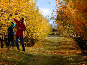 Shop, Stay & Play: Spokane’s Best Fall Attractions