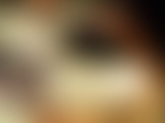 Annual Purple Ribbon Banquet and Auction Returns