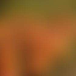 Family Friendly Farm Fun!