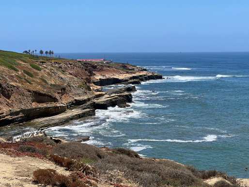 Wellness Vacation in San Diego