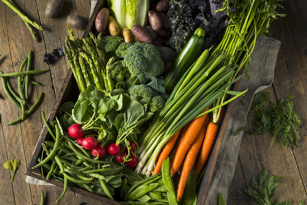 Celebrate Our Local Bounty