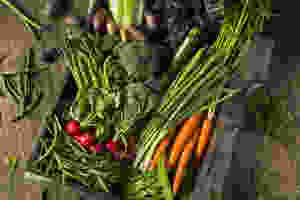 Celebrate Our Local Bounty
