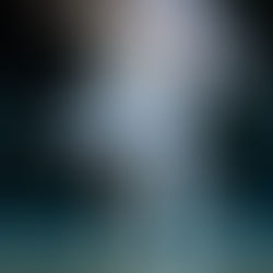 The Nutcracker 2025 Performance