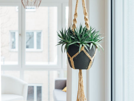Make Your House a Work of Art
