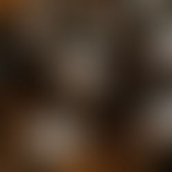 Tacoma Youth Symphony Presents: The Year 1905: Love and War