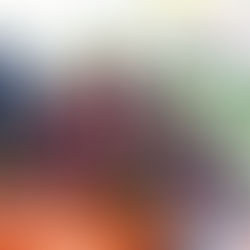 Sandpoint Farmers Market