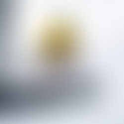 Winter Play in the Inland Northwest