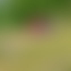 Navigating Fire Season