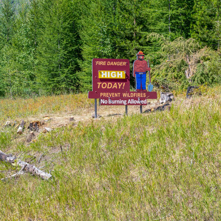 Navigating Fire Season