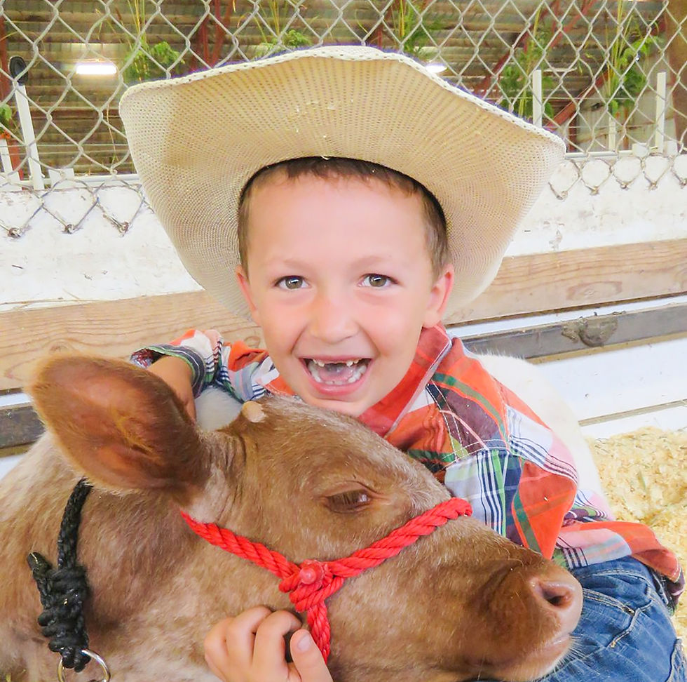 Country Roots and Cowboy Boots