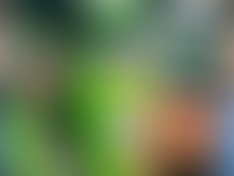 14th Annual STAR Awards