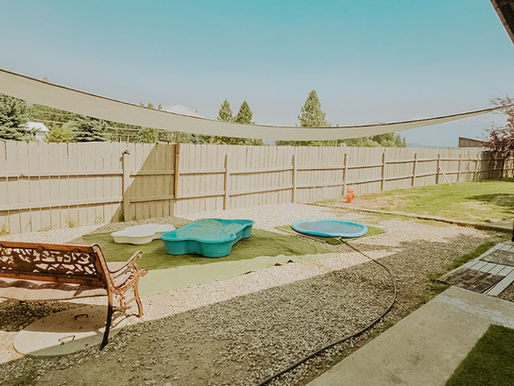 Selkirk Kennels 30 Years of Trusted Dog Boarding