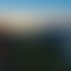 Jackie Suarez - Century 21 RiverStone: 25 Years in North Idaho Real Estate