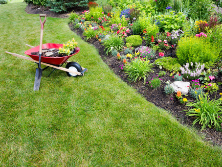 Be the Talk of the Neighborhood: Top Gardening Trends for 2017
