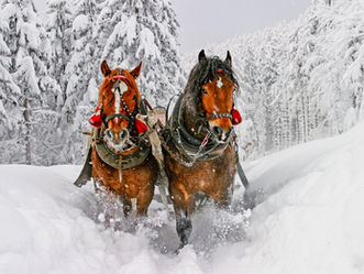 Top Spots for the Best Winter Activities