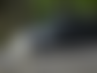 Winter Wildland Wonderland at Northwest Trek Wildlife Park