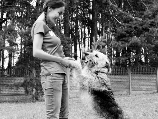 Investing in Our Local Community