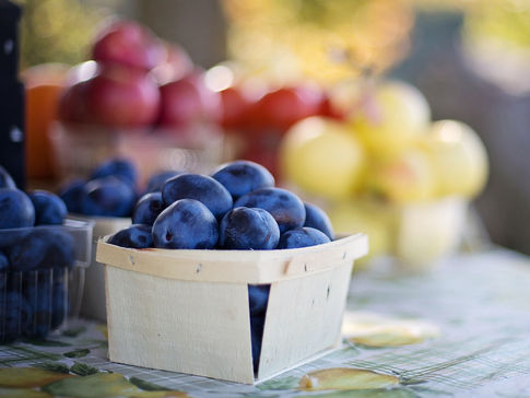 June 7, 2019 - OPENING DAY: SPOKANE VALLEY FARMERS MARKET