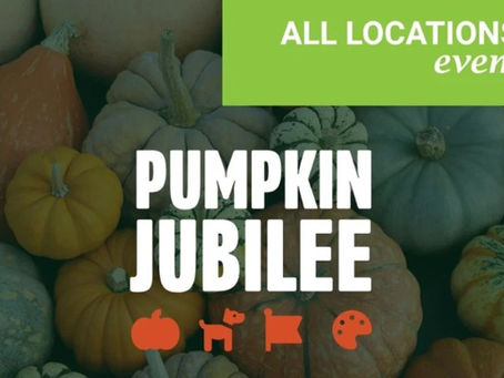 an image of pumpkins with the wording pumpkin jubilee
