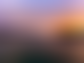 Embracing the New Year