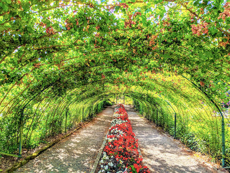 Tacoma Garden Club Invests in the South Sound