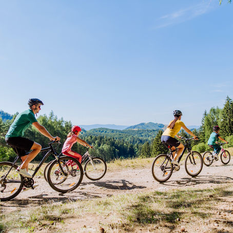 Pedaling Through Summer