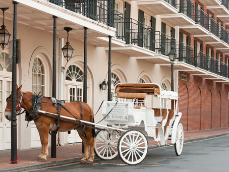Visit New Orleans like a Local