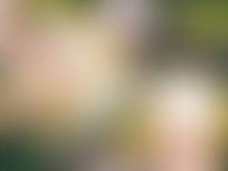 Spring Release Weekend