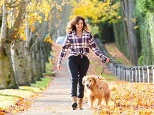 Reset for Fall