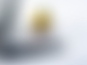 Winter Play in the Inland Northwest