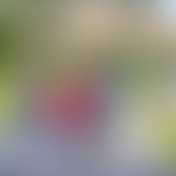 For Where the Bell Tolls