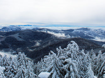 Shop, Stay & Play: January in Spokane