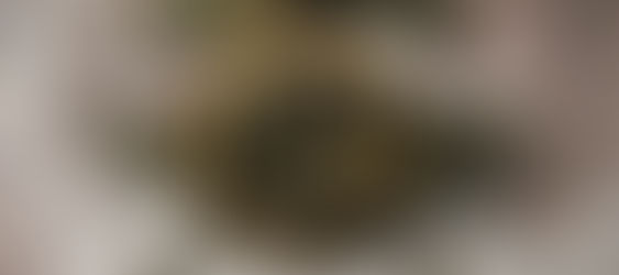 12 Steps to Get Your Private Pilot’s License