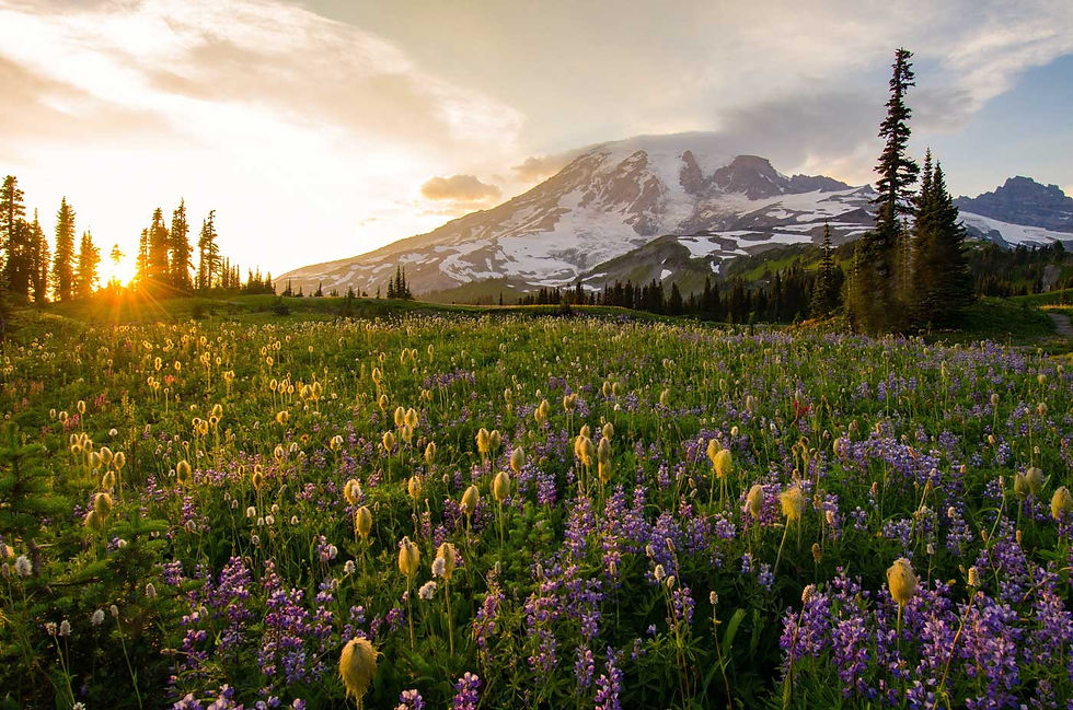 Best of Pierce County Washington