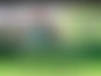 Shamrock Shuffle 2026