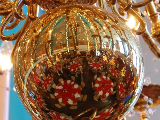 November 30, 2017 - Festival of Trees