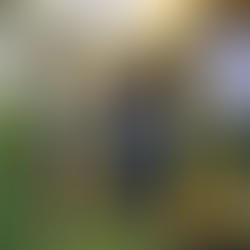 Environmental Education