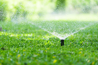 sprinklers.jpeg