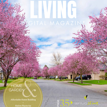 About the Cover: April 2025