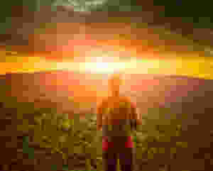 A Story of Survival