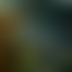 Anticipating Fall Real Estate Market Trends 2023