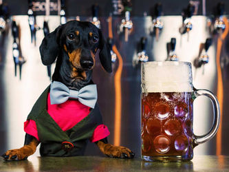 The Bartender’s Ball